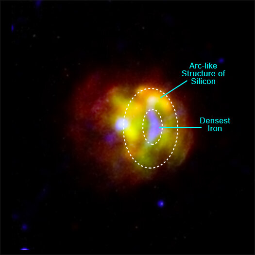 Reverse Shock Waves Illuminate Supernova