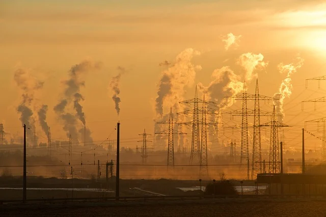 What are the 7 major Global environmental problems?
