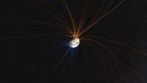 How does the Earth's Magnetic field affect Life on Earth?