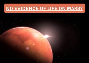 No Evidence of Life Signs on the Ancient Meteorite on Mars