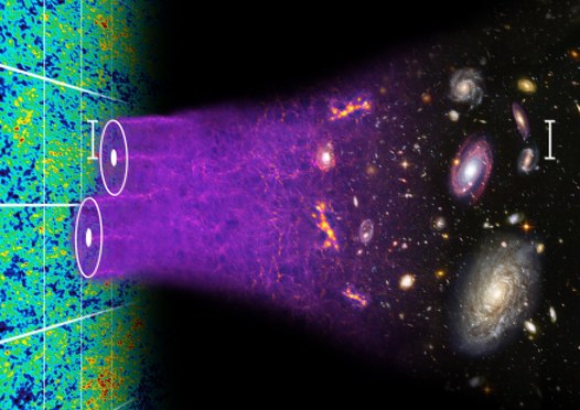 How many Times Dark Matter Tear Through the Human Body?
