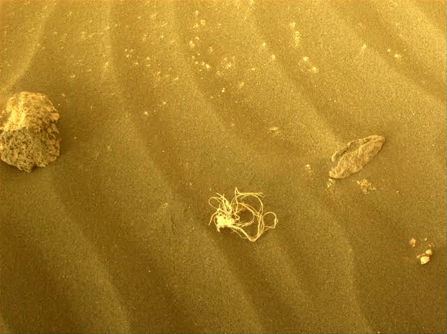 String theory: NASA's Perseverance Rover Found a Strange Tangled Object On Mars