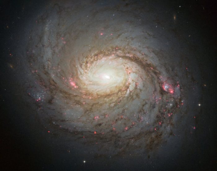 Scientists Spotted 'Ghost Particles' Exploding From A Dust Shrouded Galaxy