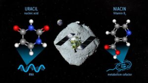 Breakthrough: Hayabusa2 Mission Discovers Life's Building Blocks on Ryugu Asteroid